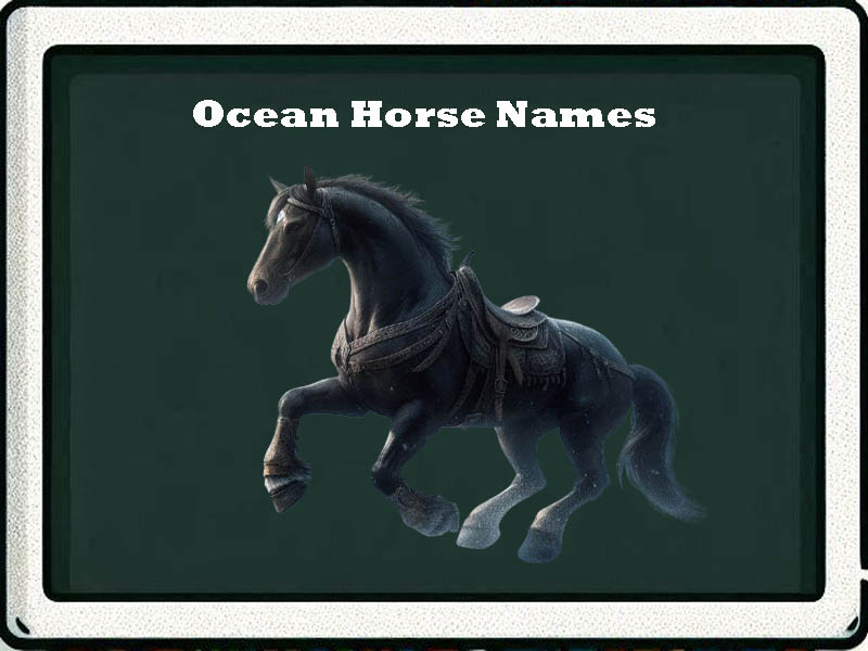 ocean horse names