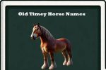 old timey horse names