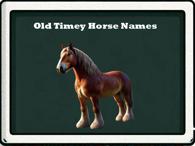 old timey horse names