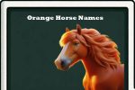 orange horse names