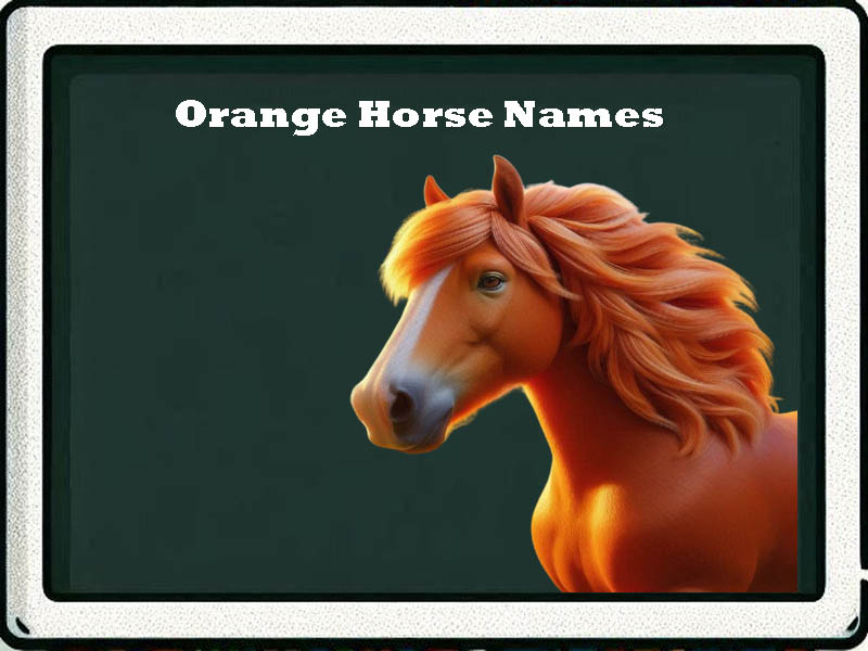 orange horse names