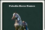 paladin horse names