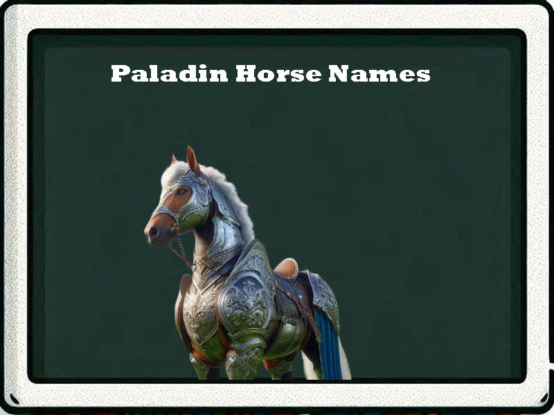 paladin horse names