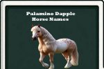 palamino dapple horse names