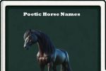 poetic horse names