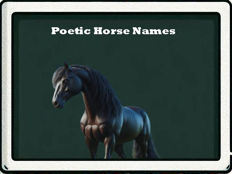 poetic horse names