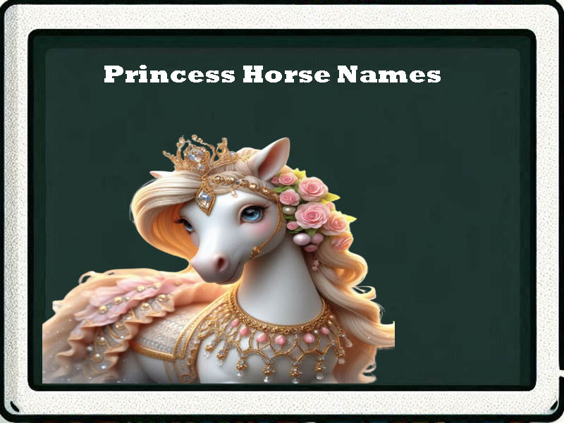 princess horse names