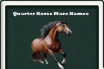 quarter horse mare names