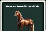 quarter horse names male