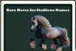 rare horse for stallions names