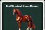 red chesnut horse names