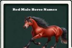 red male horse names