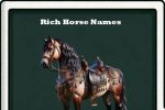 rich horse names