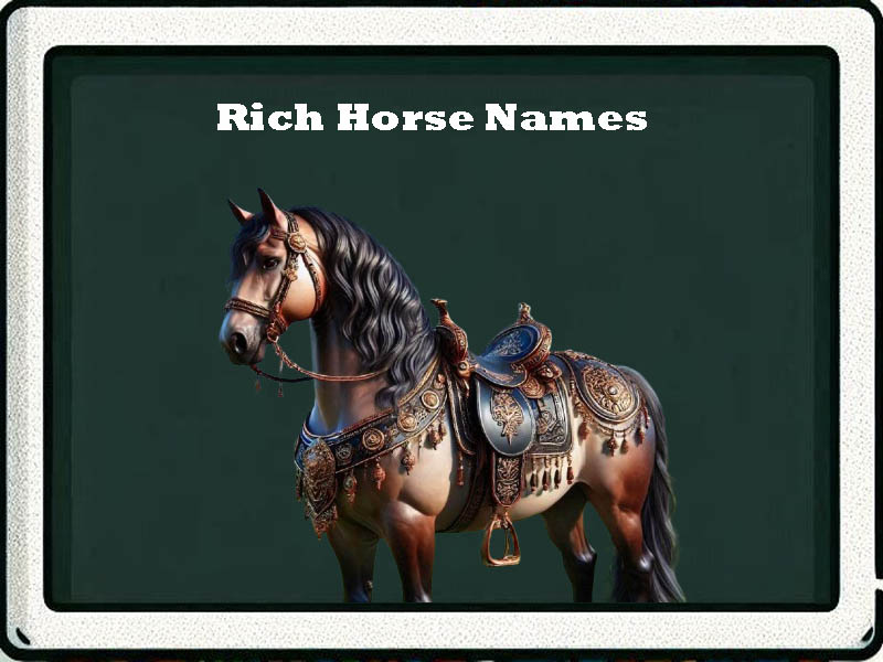 rich horse names