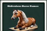 ridiculous horse names