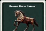 roman horse names