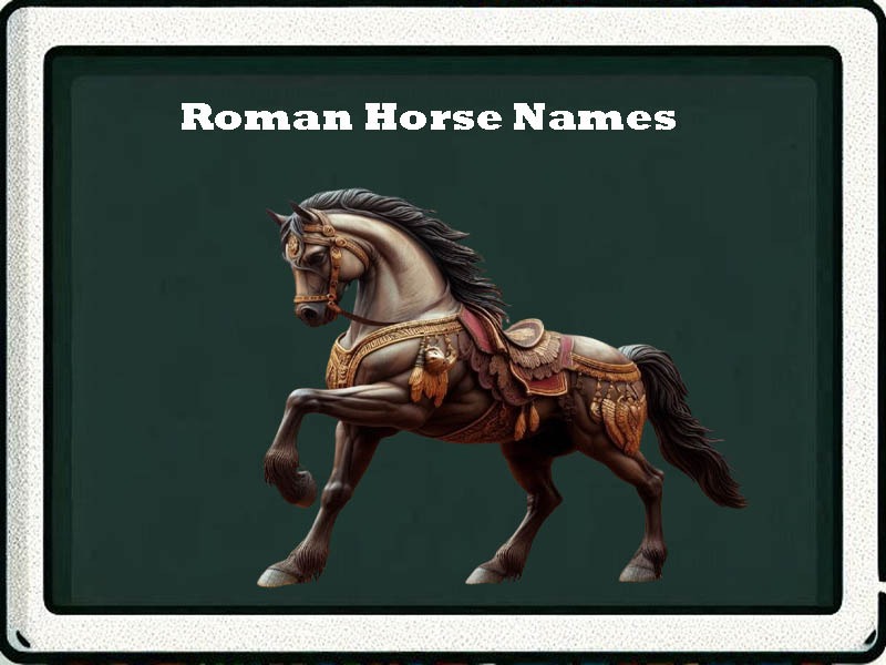 roman horse names