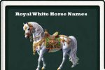 royal white horse names-