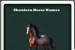 shoutern horse names