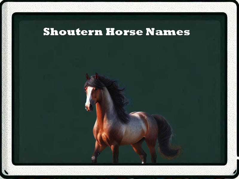 shoutern horse names