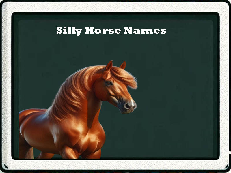 silly Horse Names