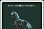 skeleton horse names