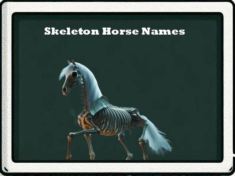 skeleton horse names