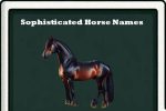 sophisticated horse names