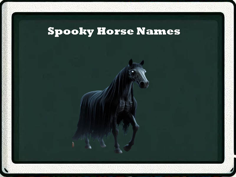 spooky horse names