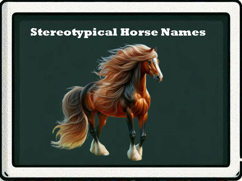 stereotypical horse names-