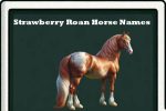 strawberry roan horse names-