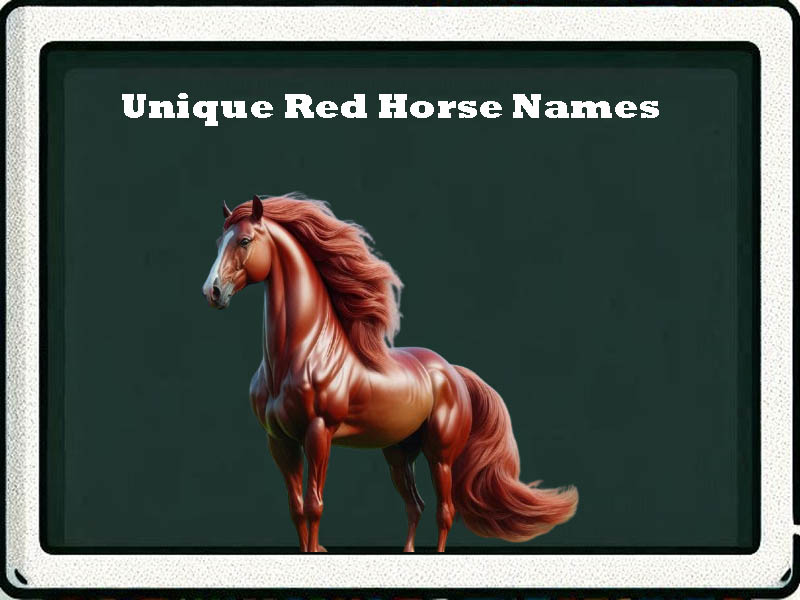 unique red horse names