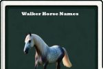 walker horse names