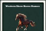 western show horse names