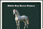 white boy horse names