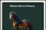 winter horse names