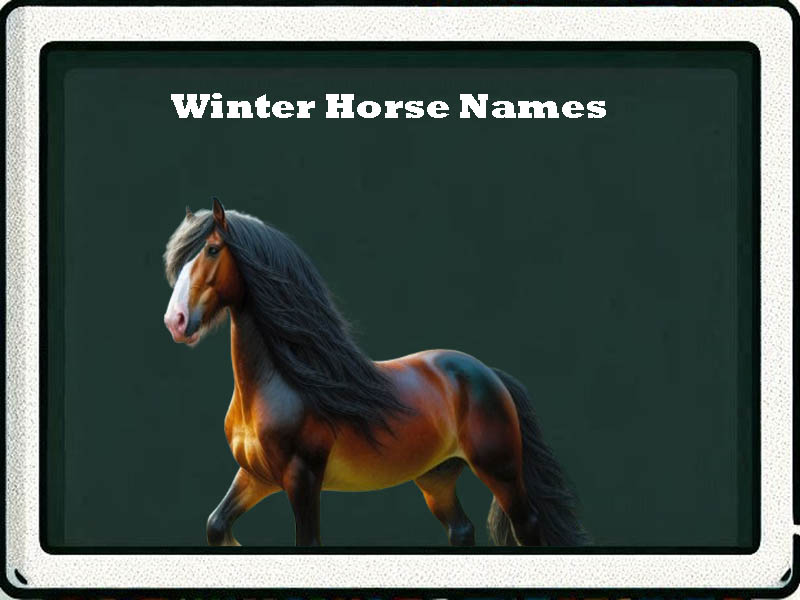 winter horse names