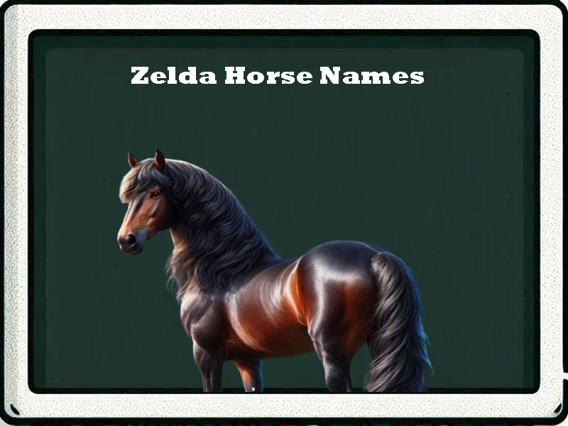 zelda horse names